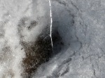 Image, I noticed the image of a face in this photo that Jim took of an ice crack over a hole, photo © 2007-2009 by Jim, all rights reserved